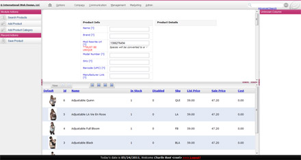 Custom CMS
